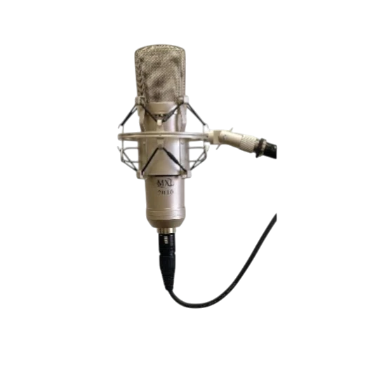 Mikrofon / PROFESSIONAL RECORDING 2010
