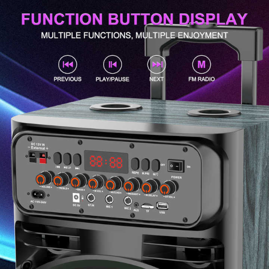 Səsgücləndirici Sing-E JQS9033 60W 10X2 2IN1 - Thumbnail 3