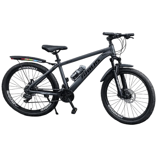 Velosiped Sibog 29-226